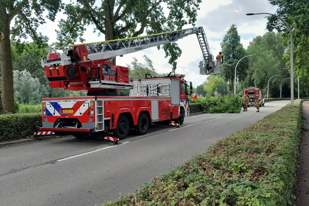 Brandweer verwijdert loshangende takken boven wegdek