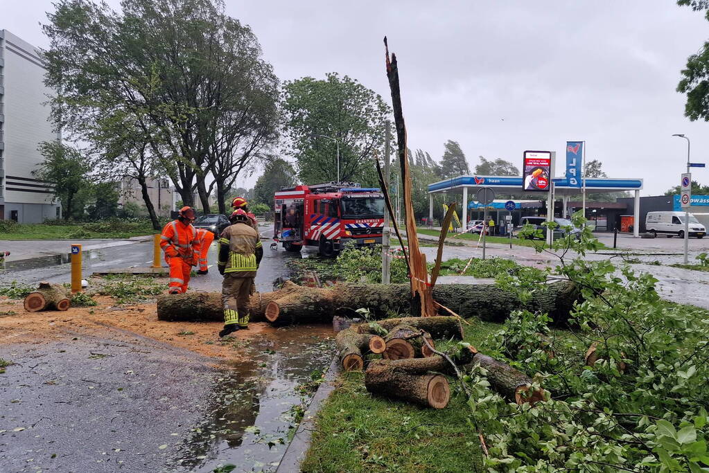 Meerdere bomen omgewaaid door storm