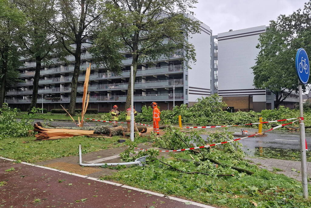 Meerdere bomen omgewaaid door storm