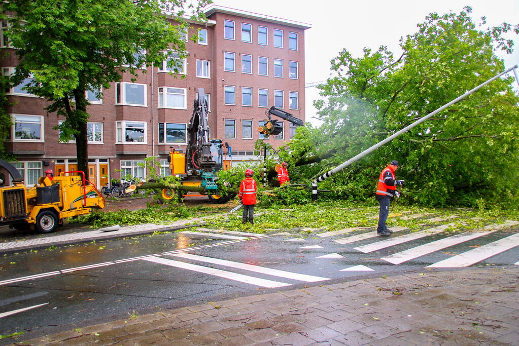 Enorme boom omgewaaid door storm