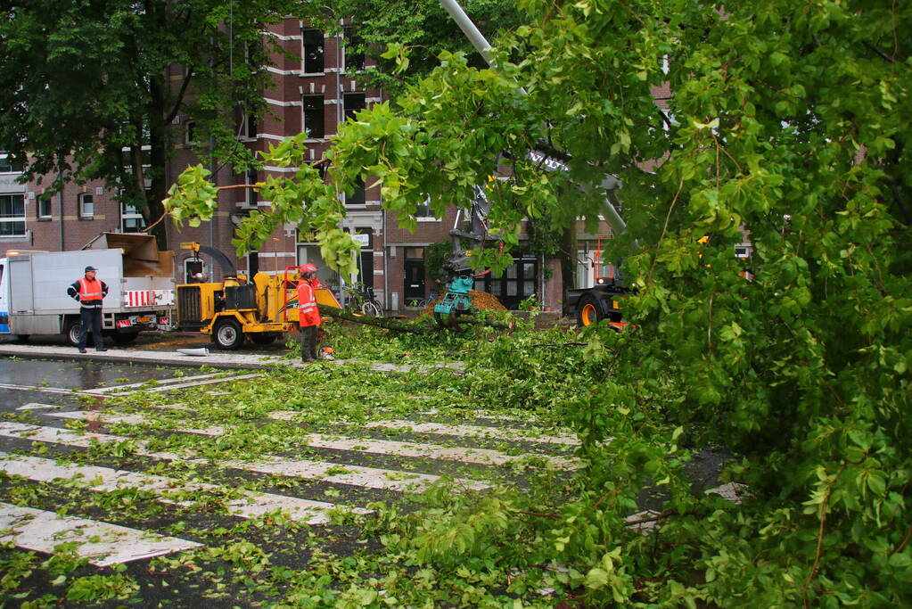 Enorme boom omgewaaid door storm