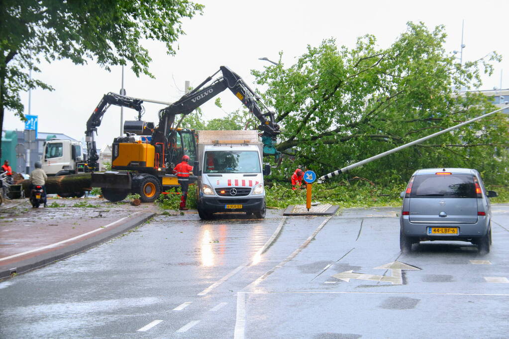 Enorme boom omgewaaid door storm