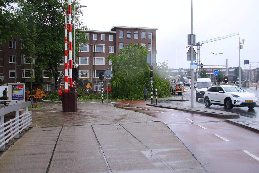 Enorme boom omgewaaid door storm