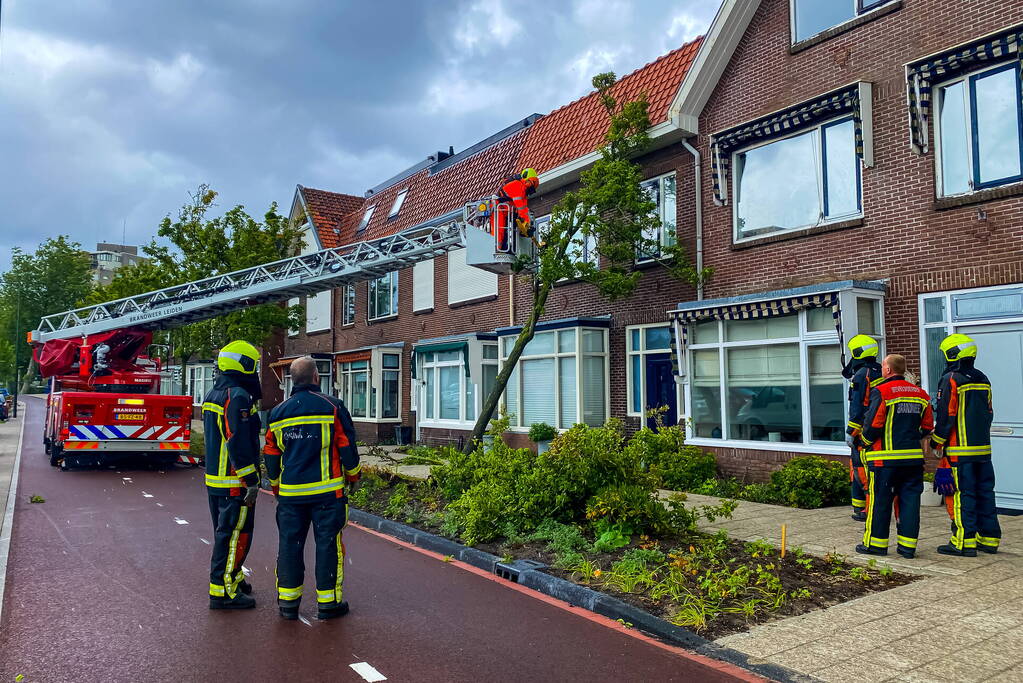 Boom valt om tegen woning door zomerstorm