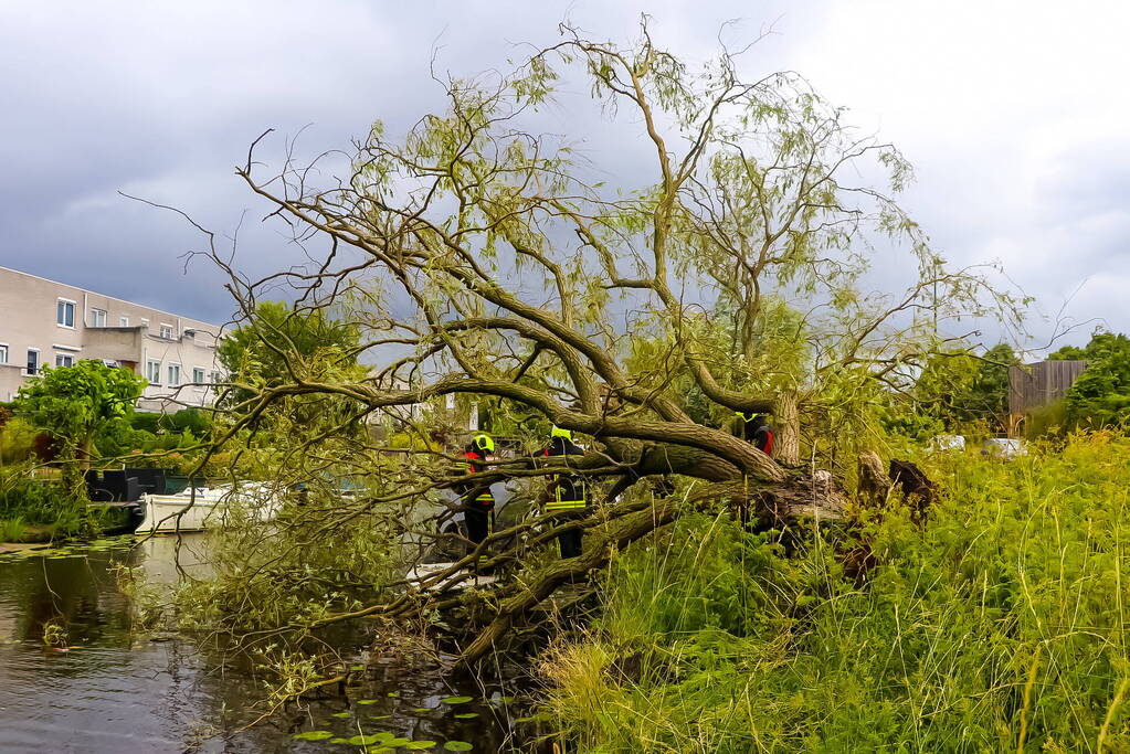 Grote boom valt om en komt terecht op boot