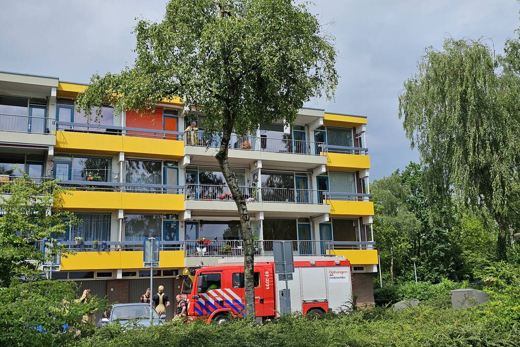 Loshangende tak door storm verwijderd