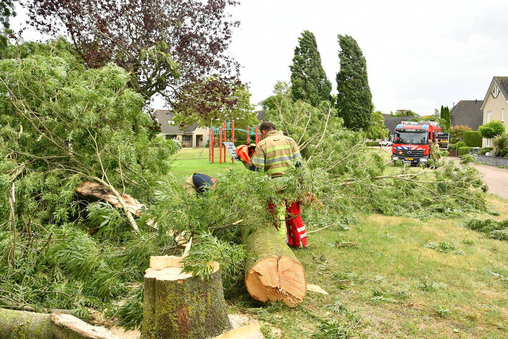 Brandweer zaagt boom om na storm Poly