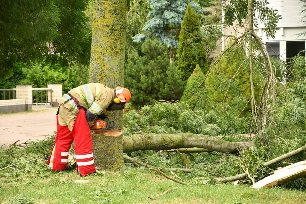 Brandweer zaagt boom om na storm Poly