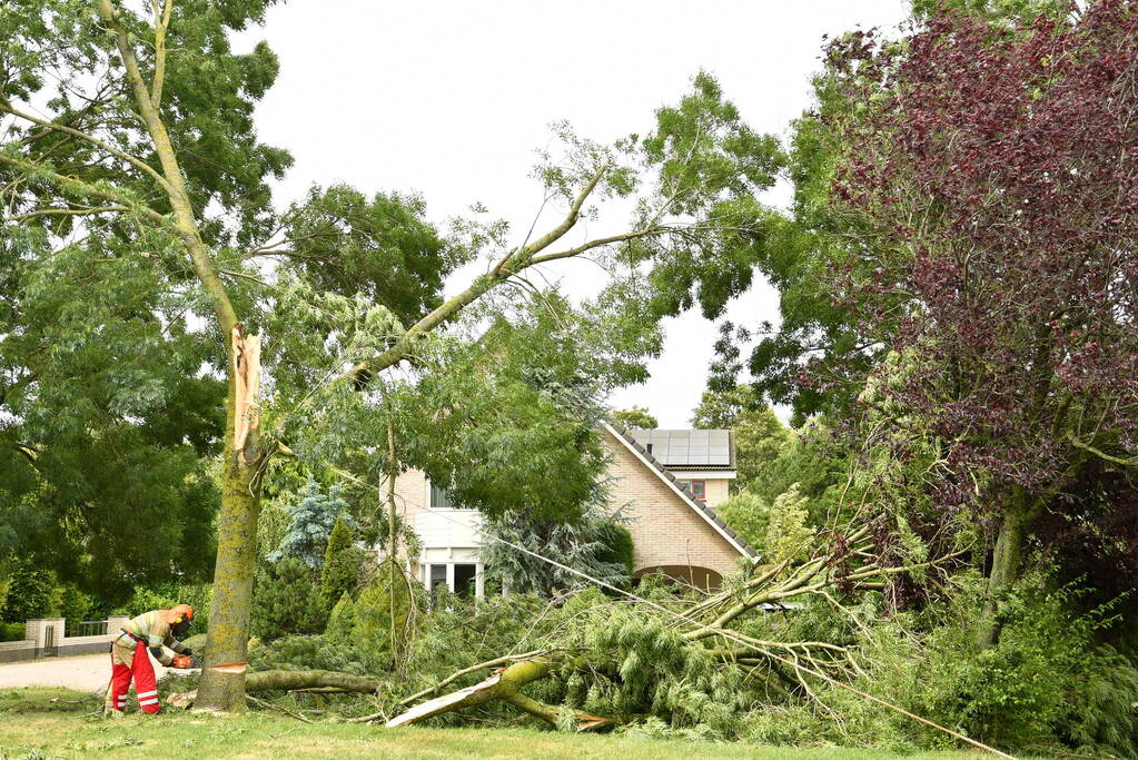 Brandweer zaagt boom om na storm Poly