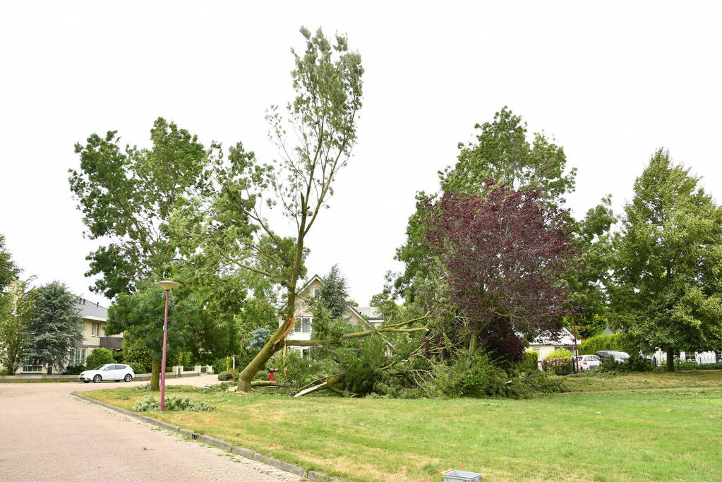 Brandweer zaagt boom om na storm Poly