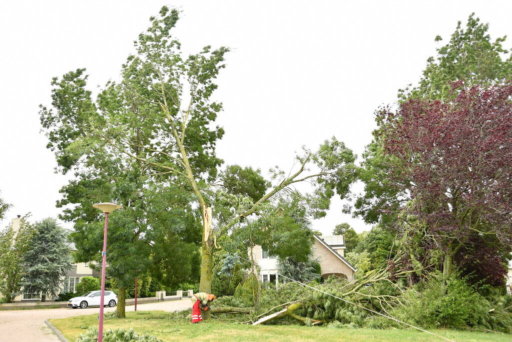 Brandweer zaagt boom om na storm Poly