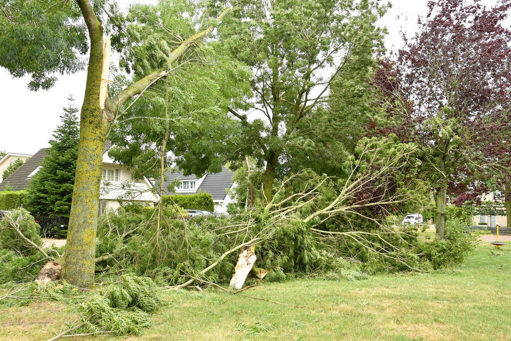 Brandweer zaagt boom om na storm Poly