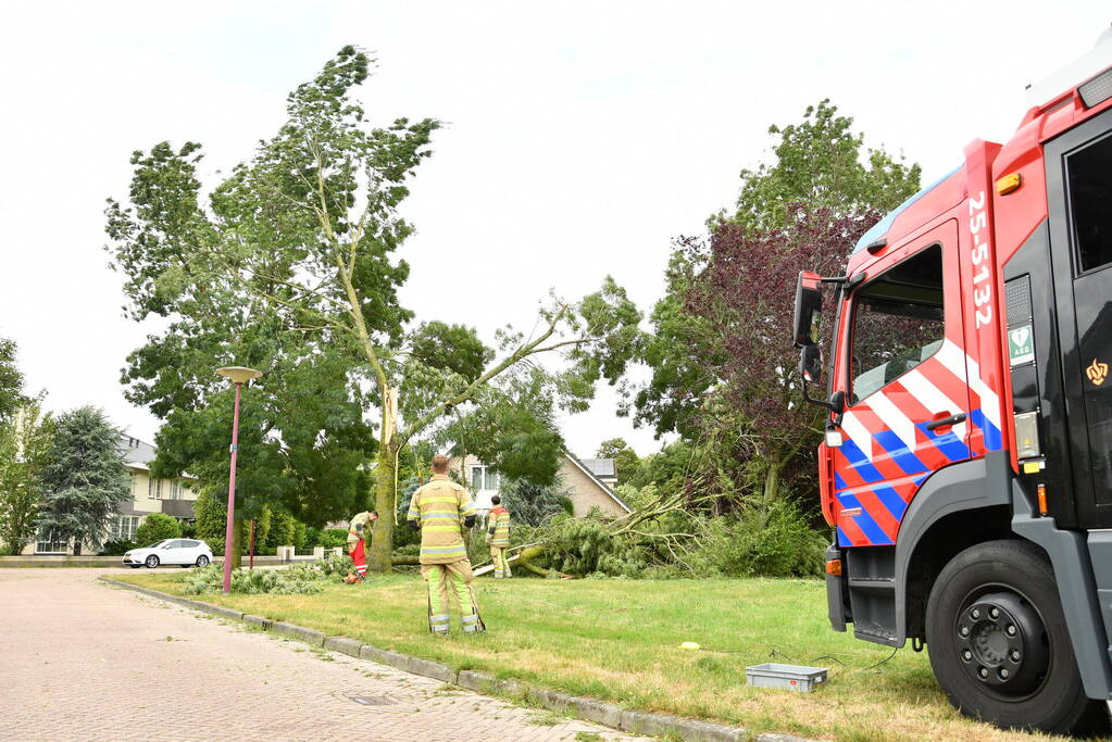 Brandweer zaagt boom om na storm Poly