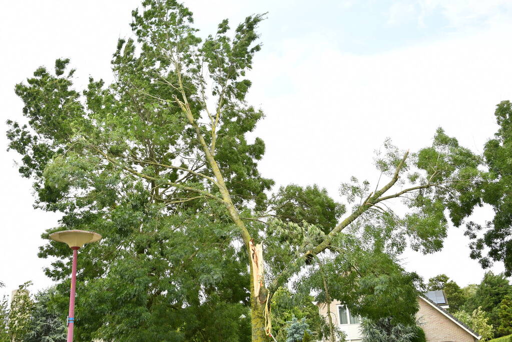 Brandweer zaagt boom om na storm Poly