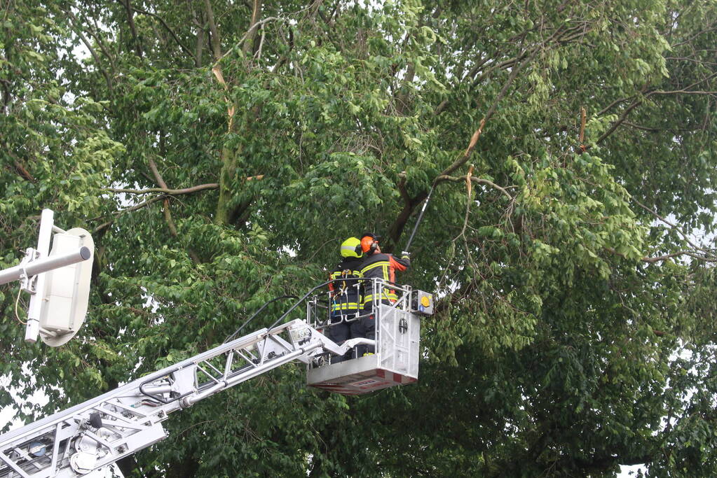 Brandweer ingezet voor afgebroken takken