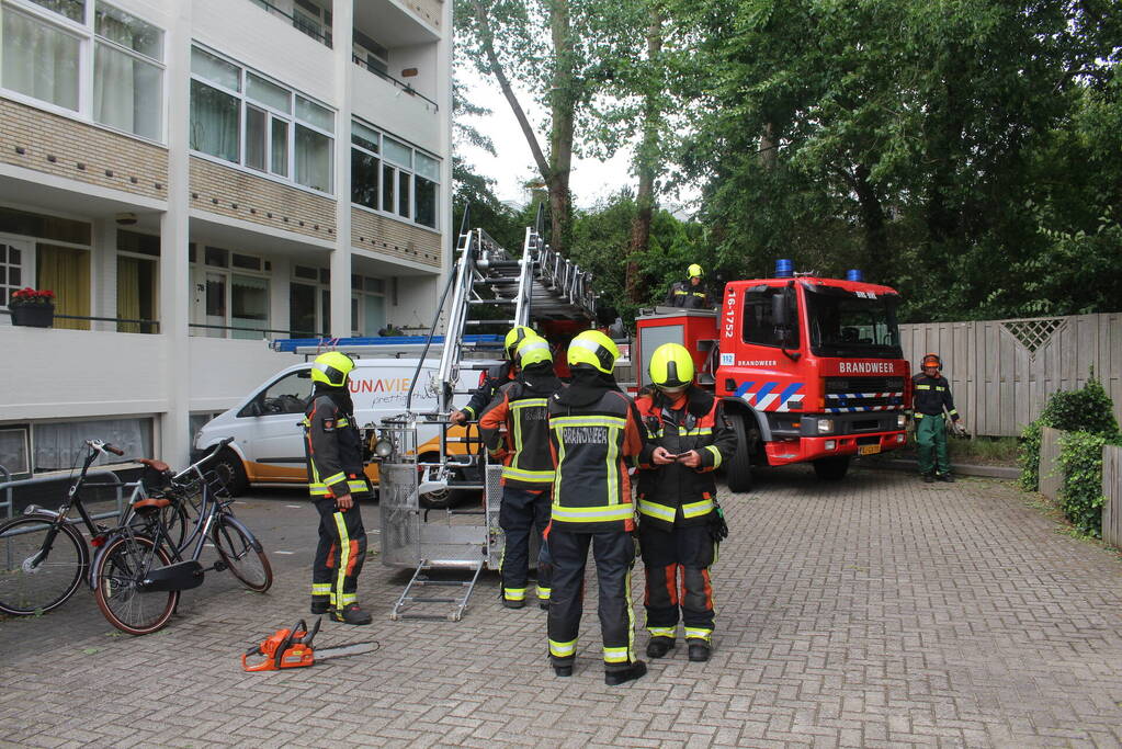 Brandweer verwijdert gevaarlijk hangende takken