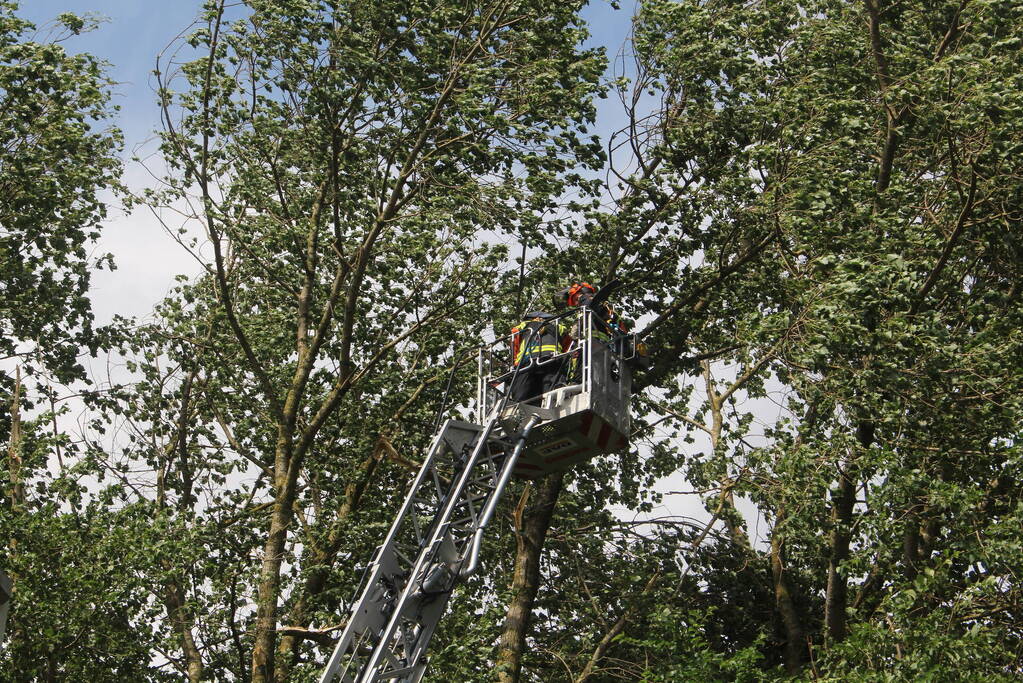 Brandweer verwijdert gevaarlijk hangende takken