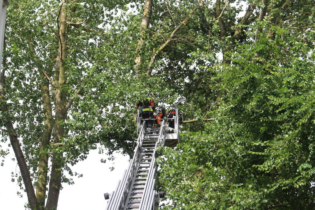 Brandweer verwijdert gevaarlijk hangende takken