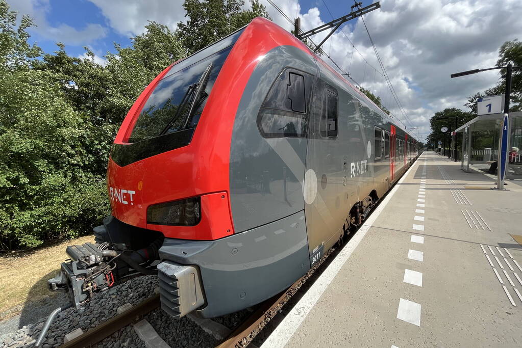 Geen treinverkeer door omgevallen boom op spoor