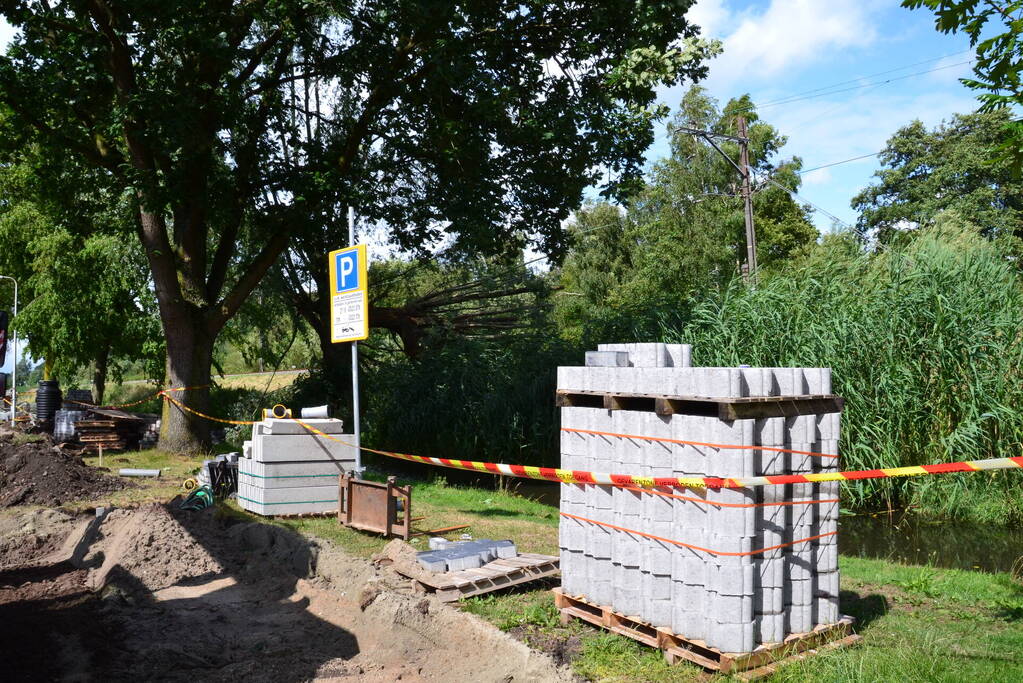 Geen treinverkeer door omgevallen boom op spoor