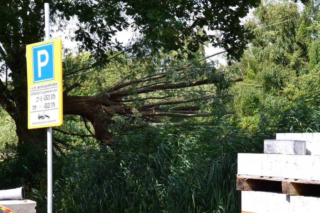 Geen treinverkeer door omgevallen boom op spoor