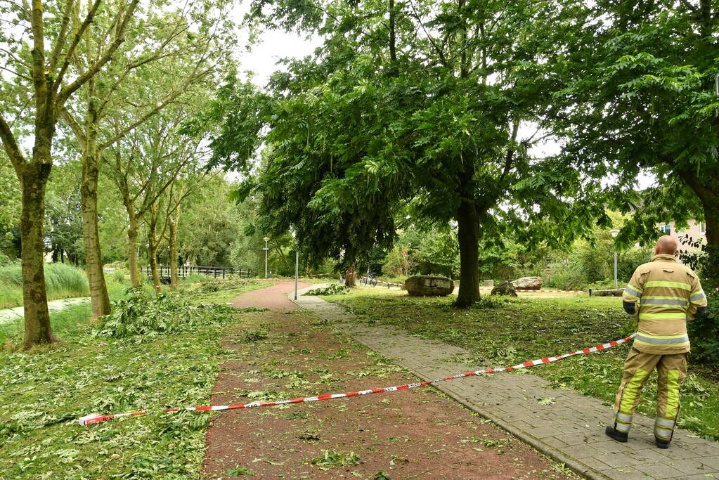 Straat afgezet door vallende takken