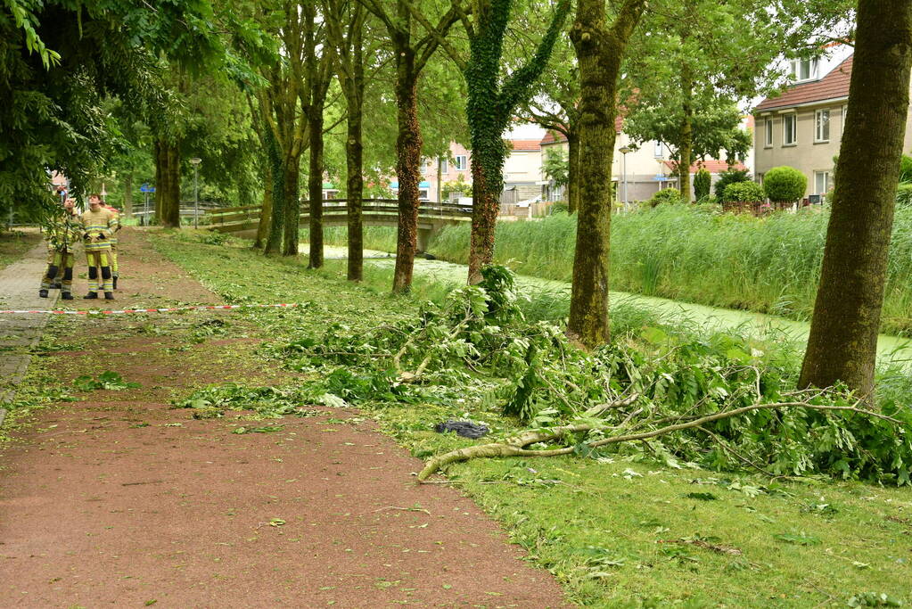 Straat afgezet door vallende takken