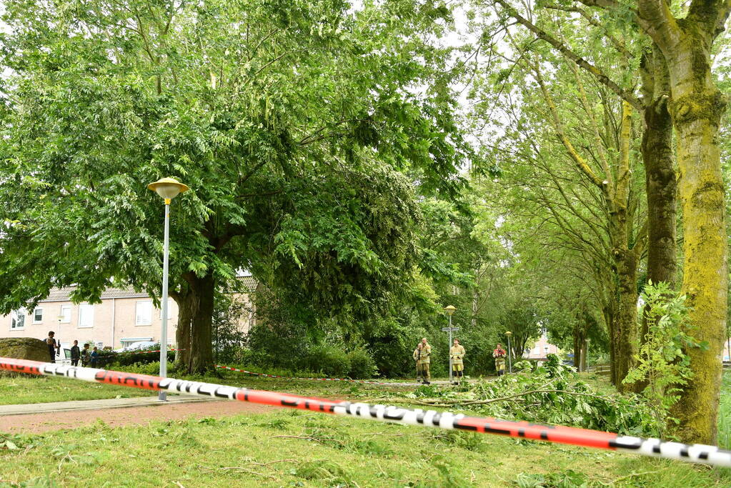 Straat afgezet door vallende takken