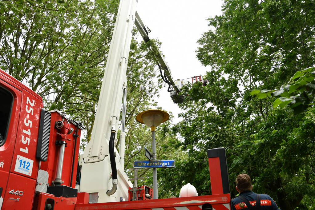 Straat afgezet door vallende takken