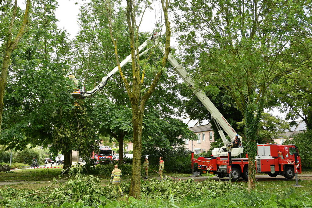 Straat afgezet door vallende takken