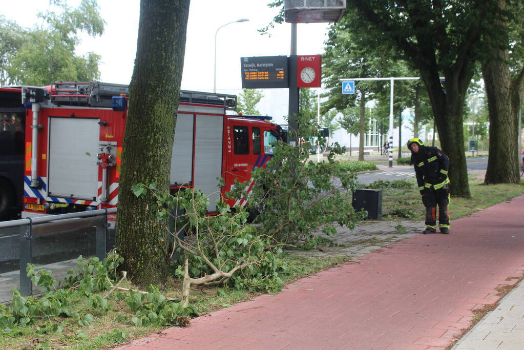 Afgebroken takken dreigen op bushalte te vallen