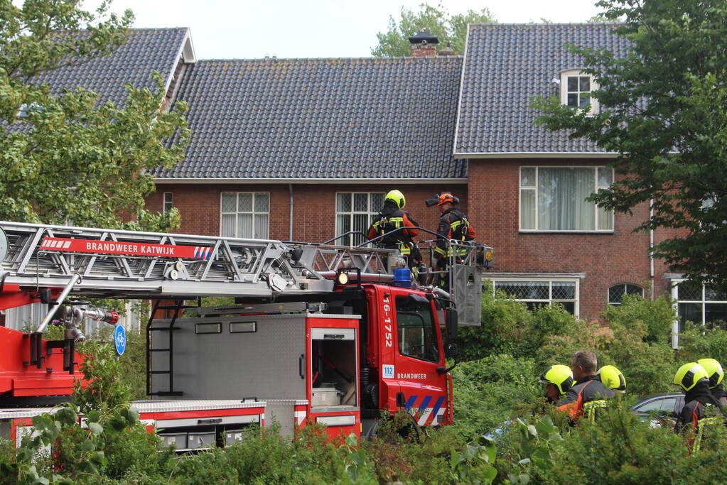 Afgebroken takken dreigen op bushalte te vallen