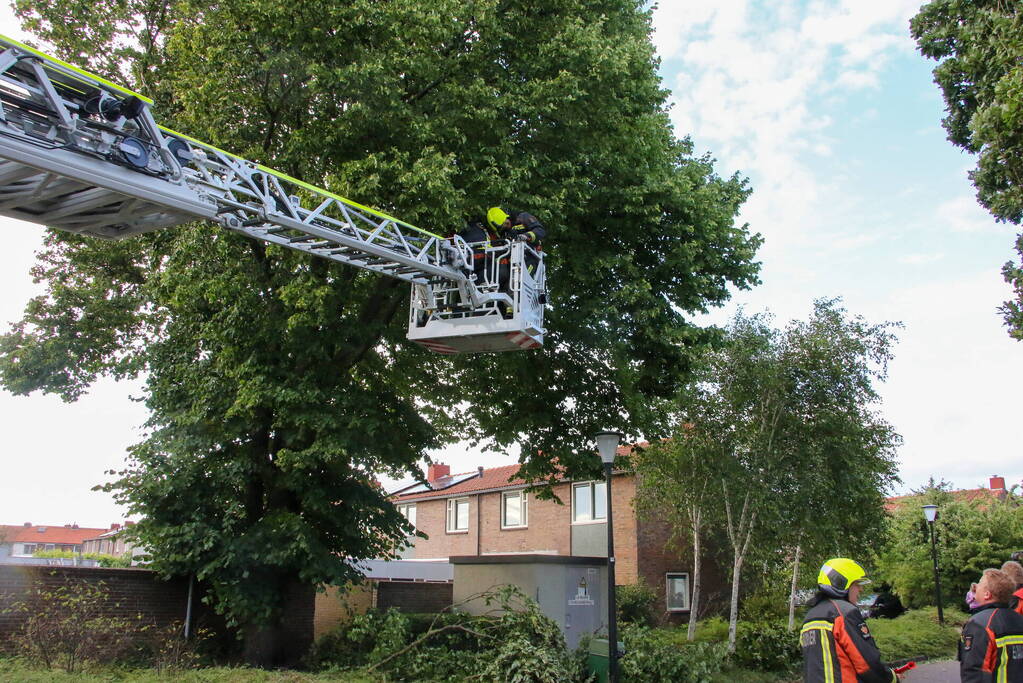 Brandweer haalt loshangende tak weg