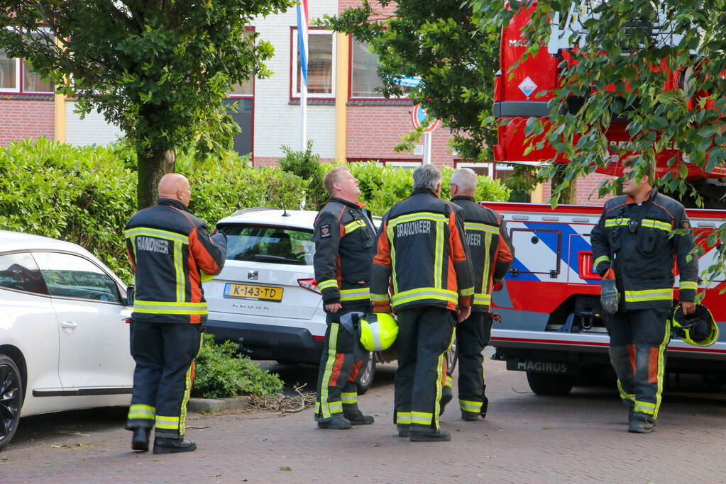 Brandweer haalt loshangende tak weg