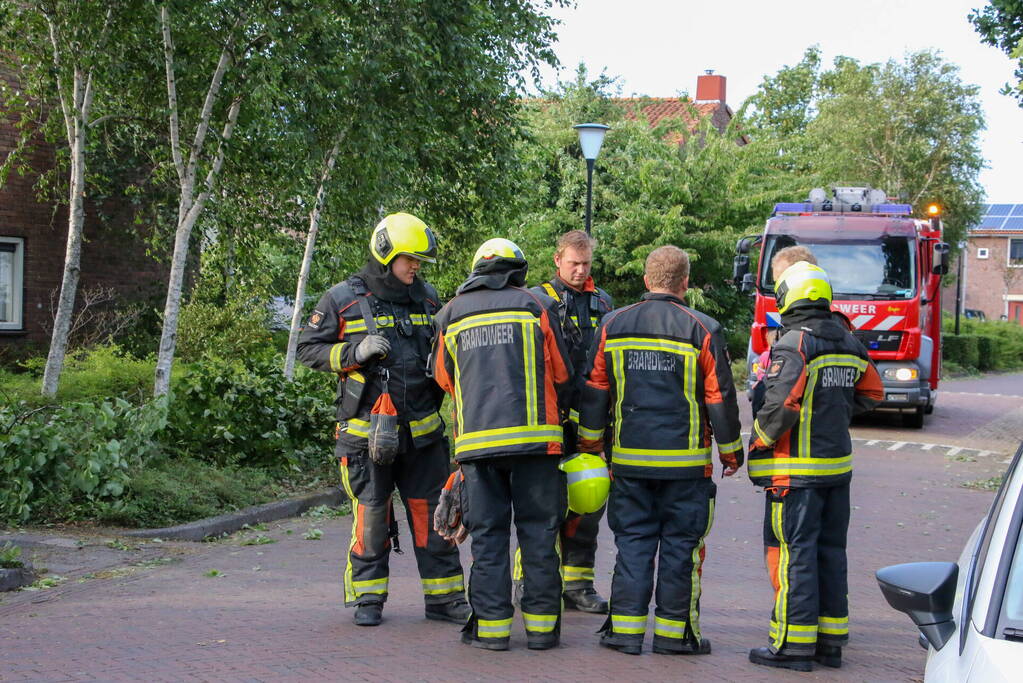 Brandweer haalt loshangende tak weg