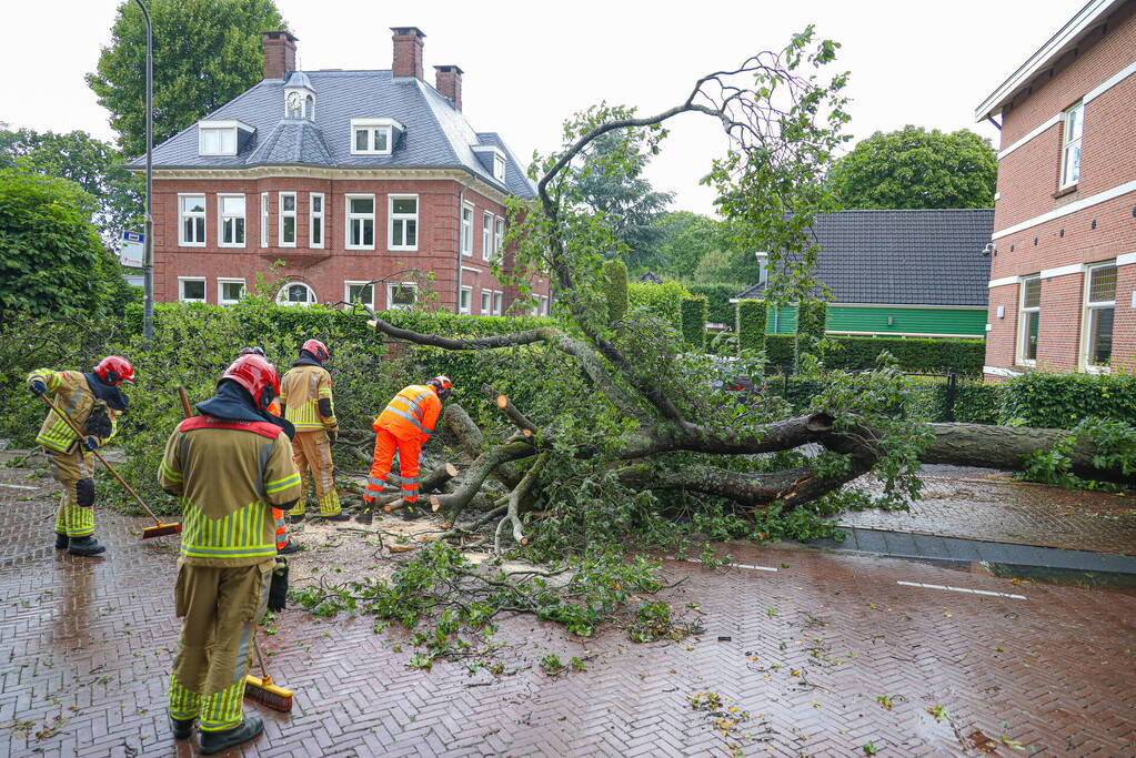 Flinke boom blokkeert de weg