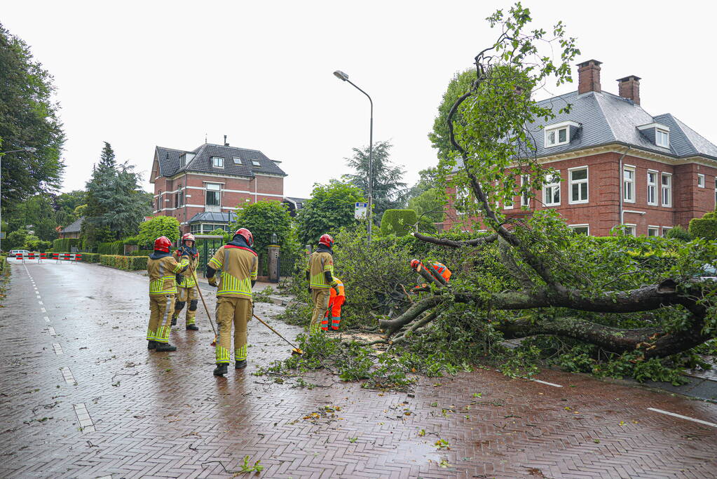 Flinke boom blokkeert de weg