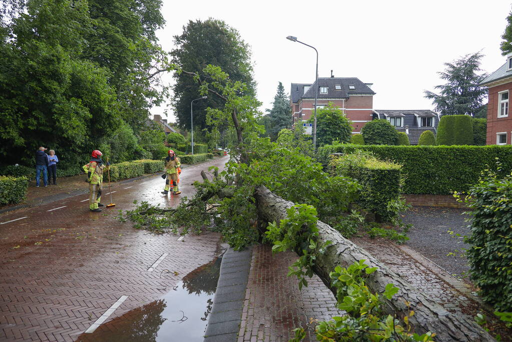 Flinke boom blokkeert de weg