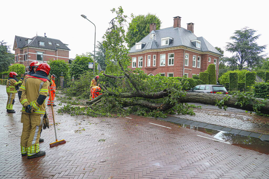 Flinke boom blokkeert de weg