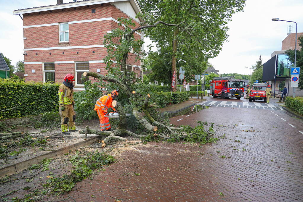 Flinke boom blokkeert de weg