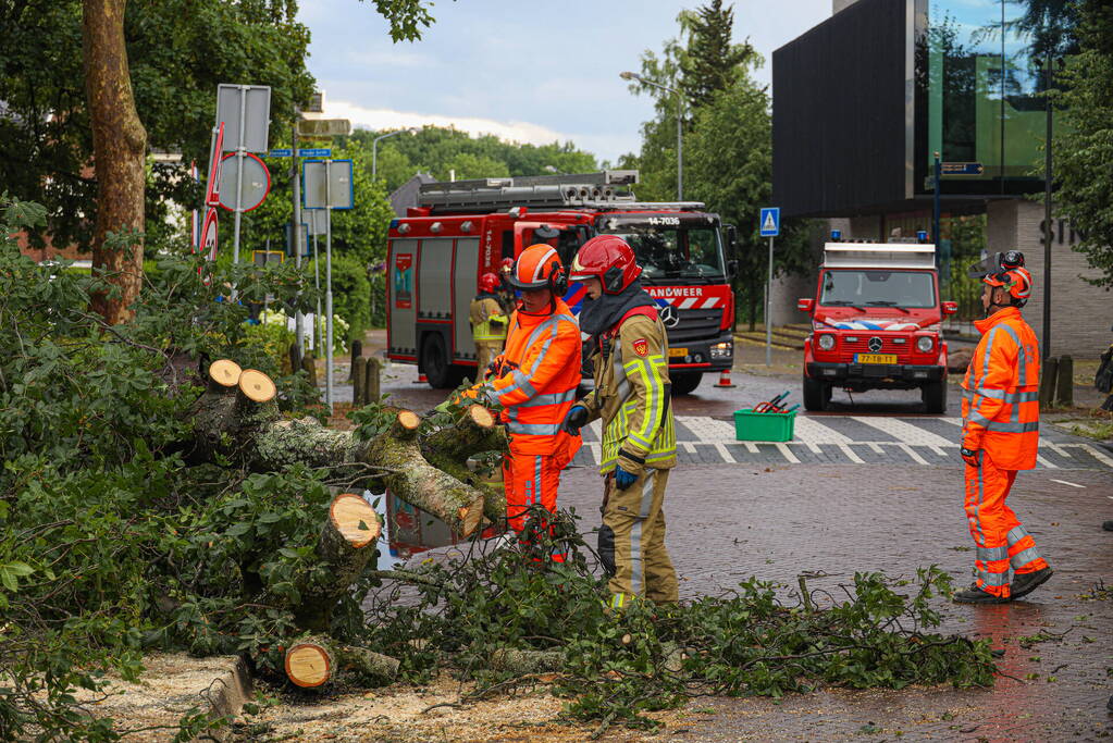 Flinke boom blokkeert de weg