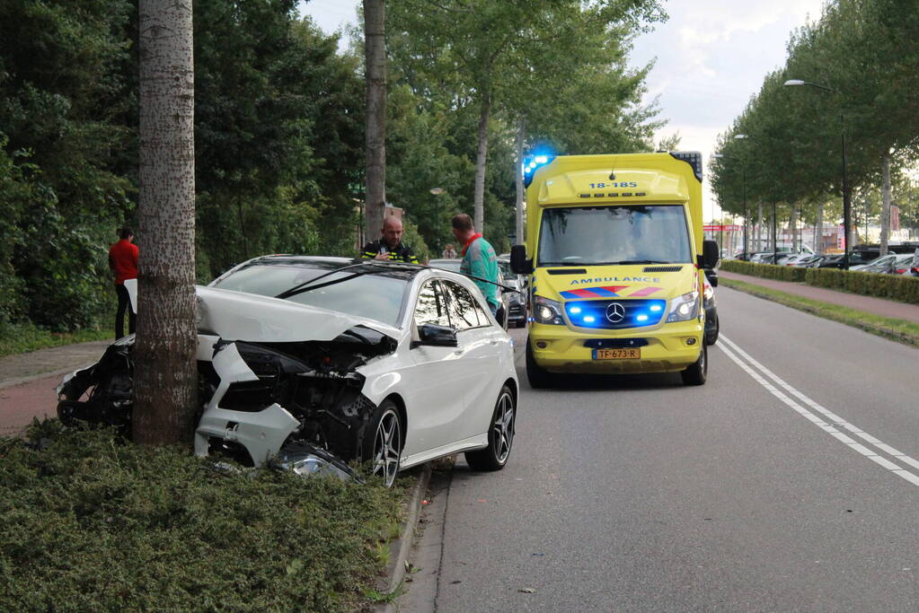 Automobilist botst tegen boom