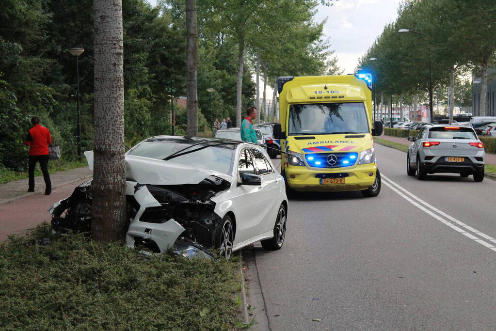 Automobilist botst tegen boom