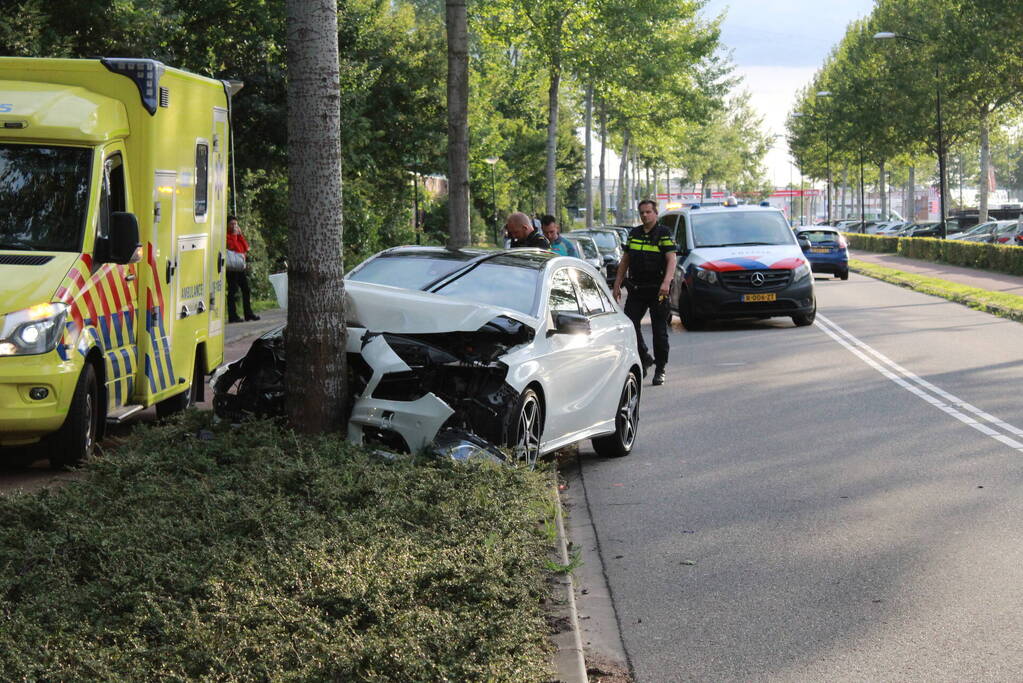 Automobilist botst tegen boom