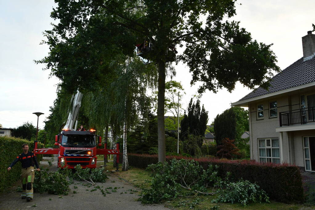 Brandweer verwijdert gevaarlijk hangende tak