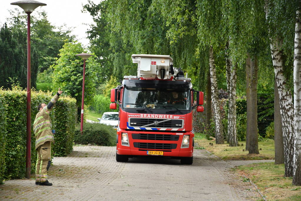 Brandweer verwijdert gevaarlijk hangende tak