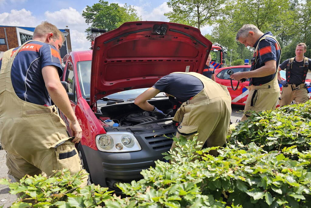 Kat zit vast onder motorkap van auto