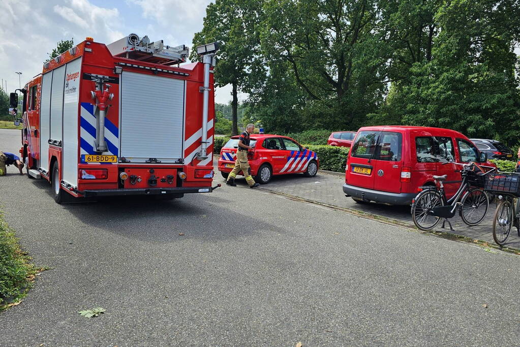 Kat zit vast onder motorkap van auto