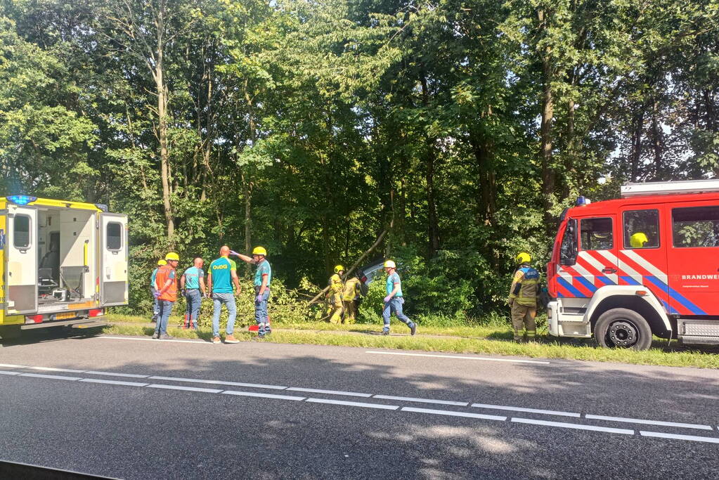 Bestuurder bestelbus raakt van de weg en belandt in bosschage