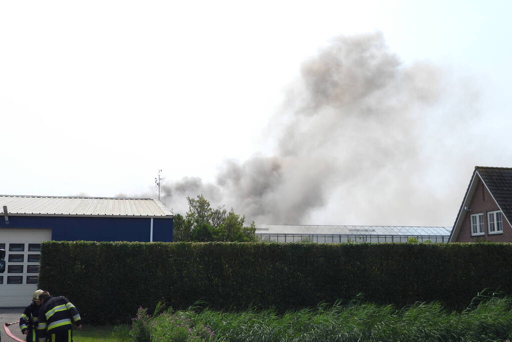 Grote brand in loods met komkommers en paprika's